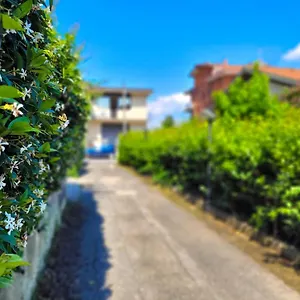 https://green-home.it-romehotels.com